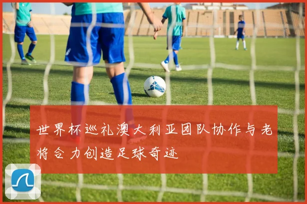 世界杯巡礼澳大利亚团队协作与老将合力创造足球奇迹