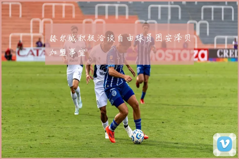赫尔城积极洽谈自由球员图安泽贝加盟事宜