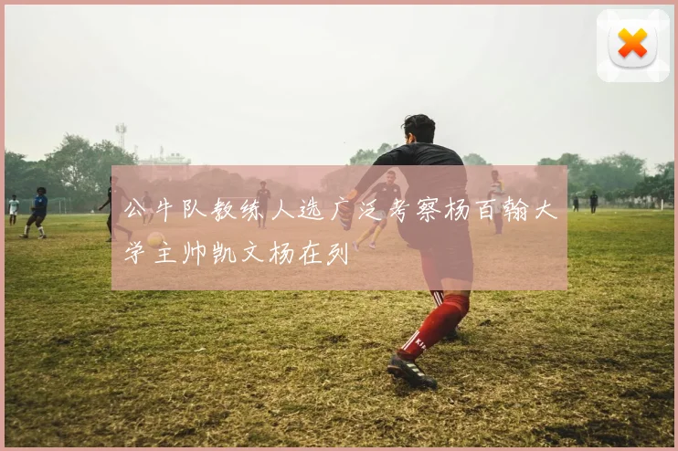 公牛队教练人选广泛考察杨百翰大学主帅凯文杨在列
